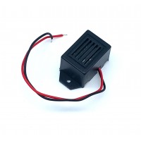 NA1060: 12V Buzzer