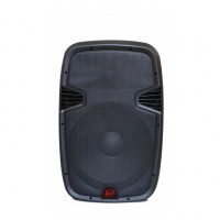 PPA-10ABL: 10" 800W Active Power Speaker W/ USB,Bluetooth