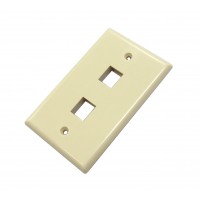 CAT503IV-2: 2 hole wall plate for CAT5/6