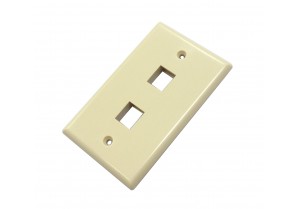 CAT503IV-2: 2 hole wall plate for CAT5/6