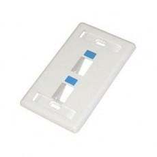 CAT603-2: 45 Degree Keystone wall plate 2 hole with icon