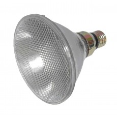 PL528LAMP: PAR HALOGEN LAMPS